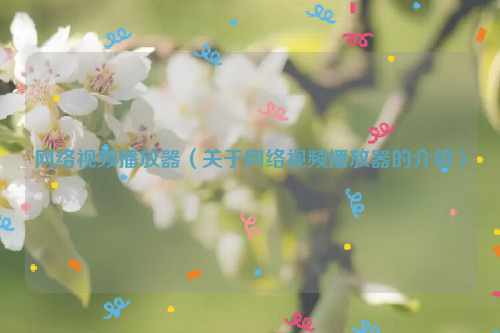 网络视频播放器（关于网络视频播放器的介绍）