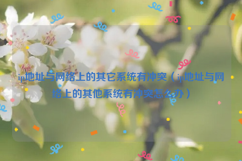 ip地址与网络上的其它系统有冲突（ip地址与网络上的其他系统有冲突怎么办）