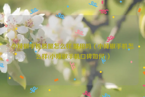 小辣椒手机质量怎么样,好用吗（小辣椒手机怎么样(小辣椒手机口碑如何)）
