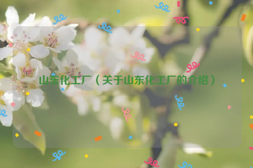 山东化工厂（关于山东化工厂的介绍）