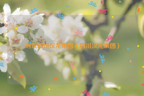 刘汉四川汉龙集团（四川汉龙集团）