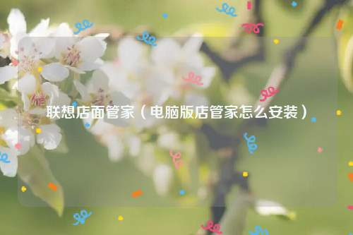 联想店面管家（电脑版店管家怎么安装）