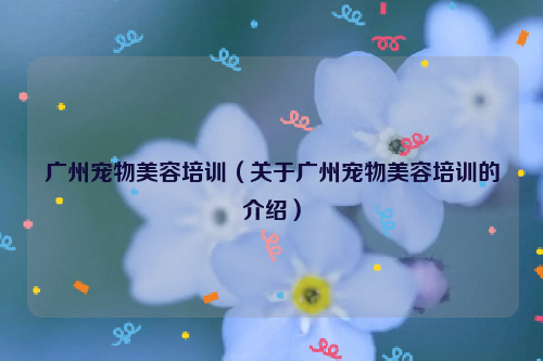 广州宠物美容培训（关于广州宠物美容培训的介绍）