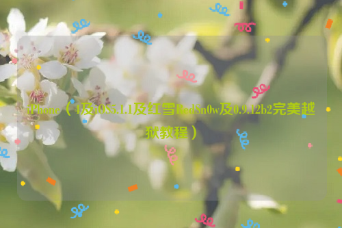 iPhone（4及iOS5.1.1及红雪RedSn0w及0.9.12b2完美越狱教程）