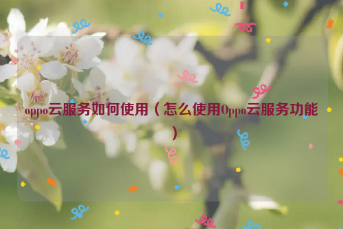 oppo云服务如何使用（怎么使用Oppo云服务功能）