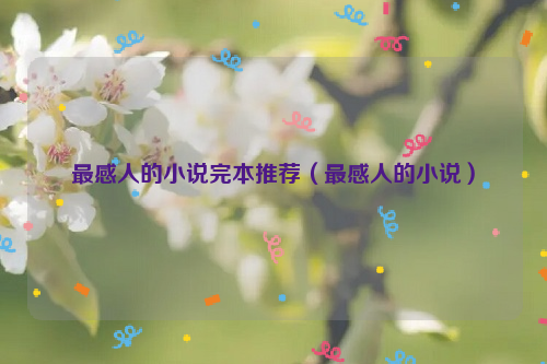 最感人的小说完本推荐（最感人的小说）