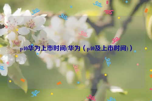 p40华为上市时间(华为（p40及上市时间)）
