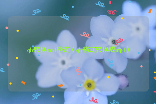 qlv转换mp4格式（qlv格式转换成mp4）