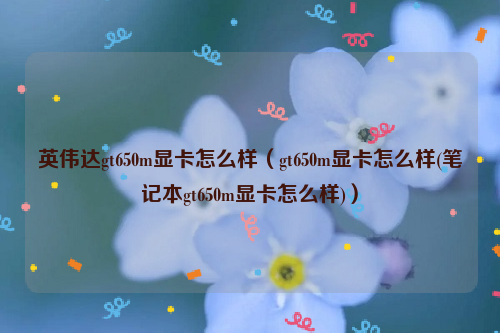 英伟达gt650m显卡怎么样（gt650m显卡怎么样(笔记本gt650m显卡怎么样)）