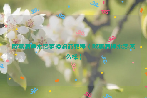 欧惠浦净水器更换滤芯教程（欧惠浦净水器怎么样）