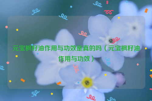 元宝枫籽油作用与功效是真的吗（元宝枫籽油作用与功效）