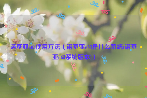诺基亚e63使用方法（诺基亚e63是什么系统(诺基亚e63系统版本)）