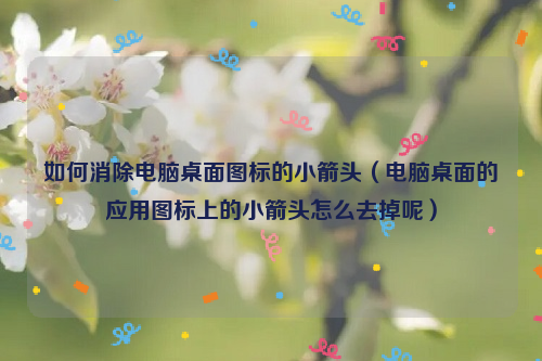 如何消除电脑桌面图标的小箭头（电脑桌面的应用图标上的小箭头怎么去掉呢）