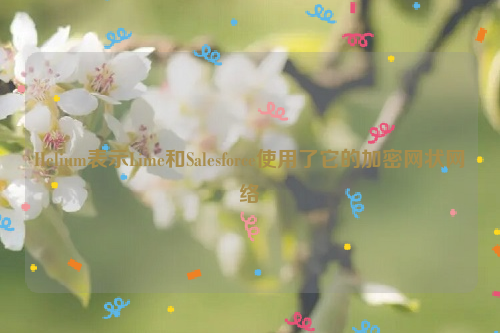 Helium表示Lime和Salesforce使用了它的加密网状网络