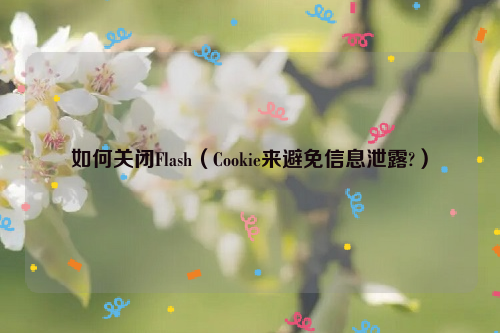 如何关闭Flash（Cookie来避免信息泄露?）