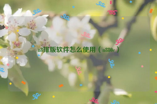 n8排版软件怎么使用（n880e）