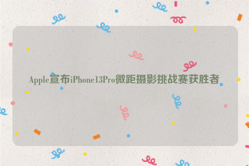 Apple宣布iPhone13Pro微距摄影挑战赛获胜者