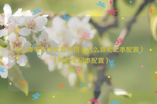 怎么查笔记本配置价格（怎么查笔记本配置）（咋查笔记本配置）