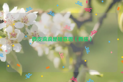 西皮滴滴是啥意思（西皮）