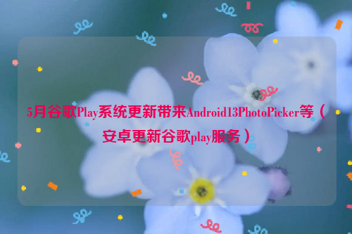 5月谷歌Play系统更新带来Android13PhotoPicker等（安卓更新谷歌play服务）