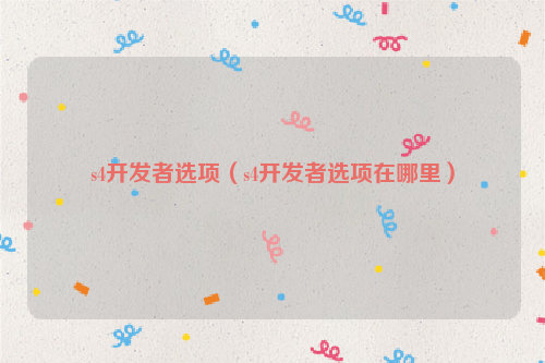 s4开发者选项（s4开发者选项在哪里）