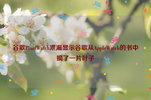 谷歌PixelWatch泄漏显示谷歌从AppleWatch的书中摘了一片叶子