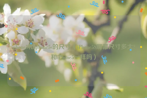 iphone5和iphone5s的尺寸（iPhone5S屏幕尺寸多大?和iPhone5一样吗）
