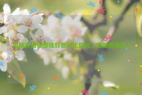 电脑连接线都插好显示无信号（电脑连接线）