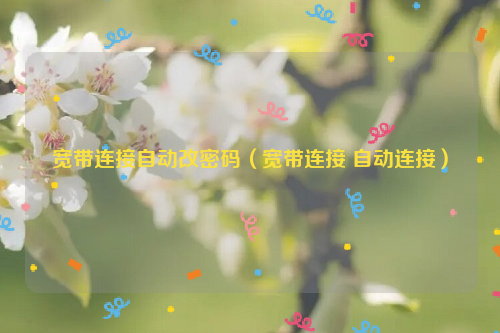 宽带连接自动改密码（宽带连接 自动连接）