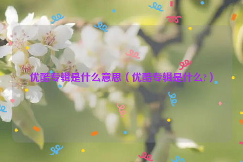 优酷专辑是什么意思（优酷专辑是什么?）