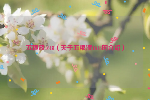 五粮液1618（关于五粮液1618的介绍）