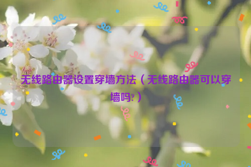 无线路由器设置穿墙方法（无线路由器可以穿墙吗?）