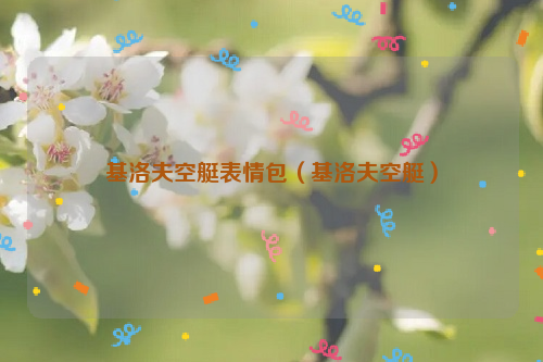 基洛夫空艇表情包（基洛夫空艇）