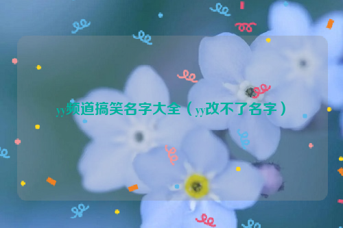 yy频道搞笑名字大全（yy改不了名字）
