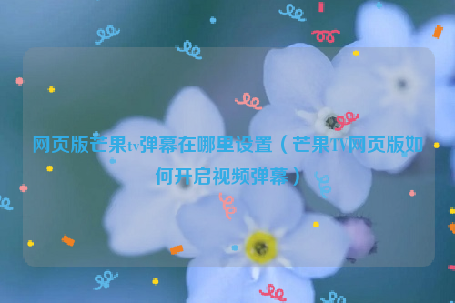 网页版芒果tv弹幕在哪里设置（芒果TV网页版如何开启视频弹幕）