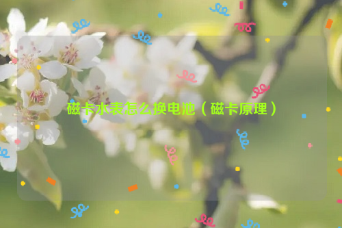 磁卡水表怎么换电池（磁卡原理）
