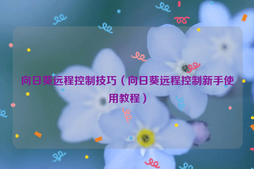 向日葵远程控制技巧（向日葵远程控制新手使用教程）
