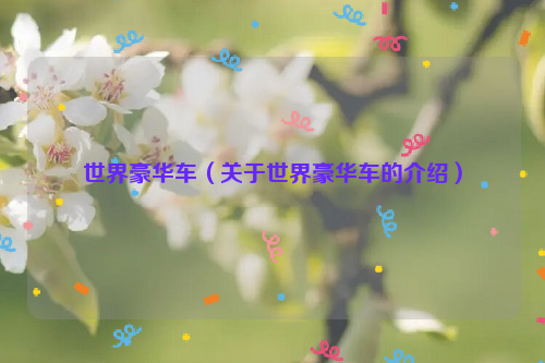 世界豪华车（关于世界豪华车的介绍）