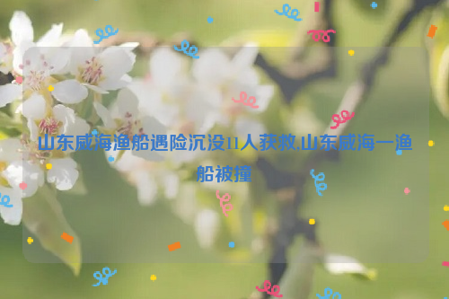山东威海渔船遇险沉没11人获救,山东威海一渔船被撞