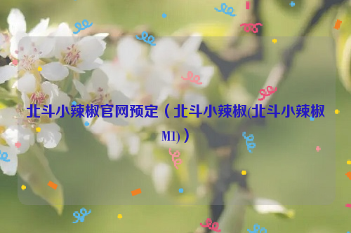 北斗小辣椒官网预定（北斗小辣椒(北斗小辣椒M1)）