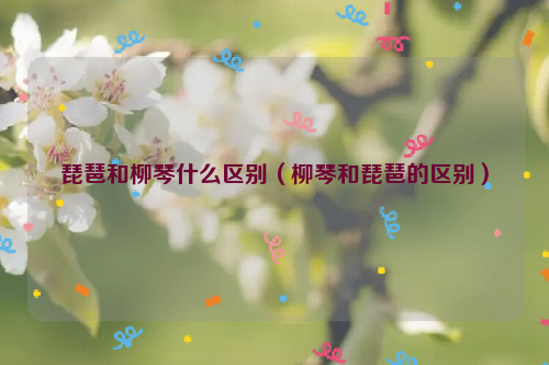 琵琶和柳琴什么区别（柳琴和琵琶的区别）