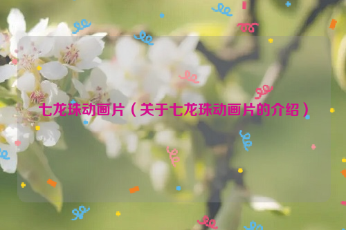 七龙珠动画片（关于七龙珠动画片的介绍）