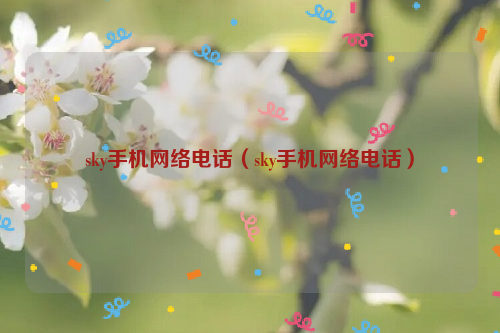 sky手机网络电话（sky手机网络电话）