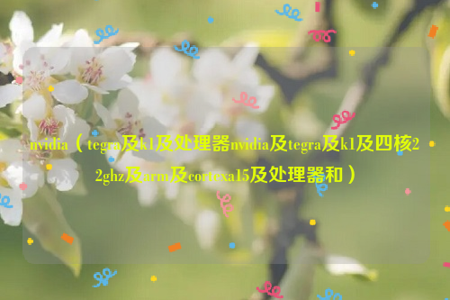 nvidia（tegra及k1及处理器nvidia及tegra及k1及四核22ghz及arm及cortexa15及处理器和）