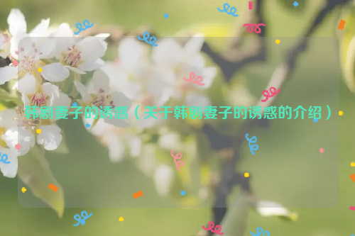 韩剧妻子的诱惑（关于韩剧妻子的诱惑的介绍）