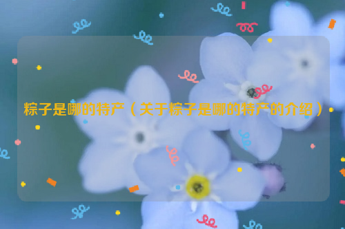 粽子是哪的特产（关于粽子是哪的特产的介绍）