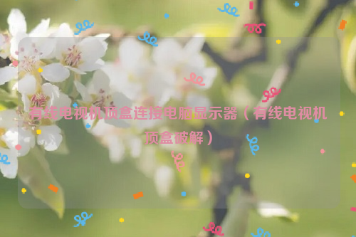 有线电视机顶盒连接电脑显示器（有线电视机顶盒破解）