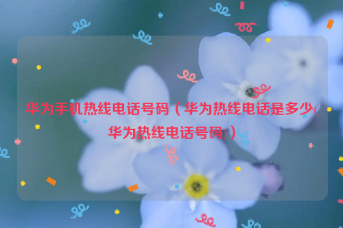 华为手机热线电话号码（华为热线电话是多少(华为热线电话号码)）