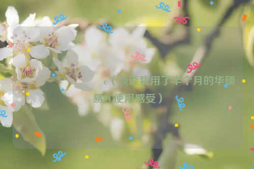 鍗庣鏄撶數鑴憄c（谈谈我用了半个月的华硕易PC使用感受）