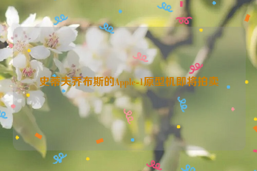 史蒂夫乔布斯的Apple-1原型机即将拍卖
